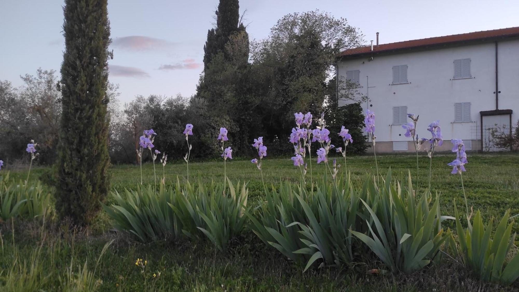 Pietraia Borgo Iris 빌라 외부 사진