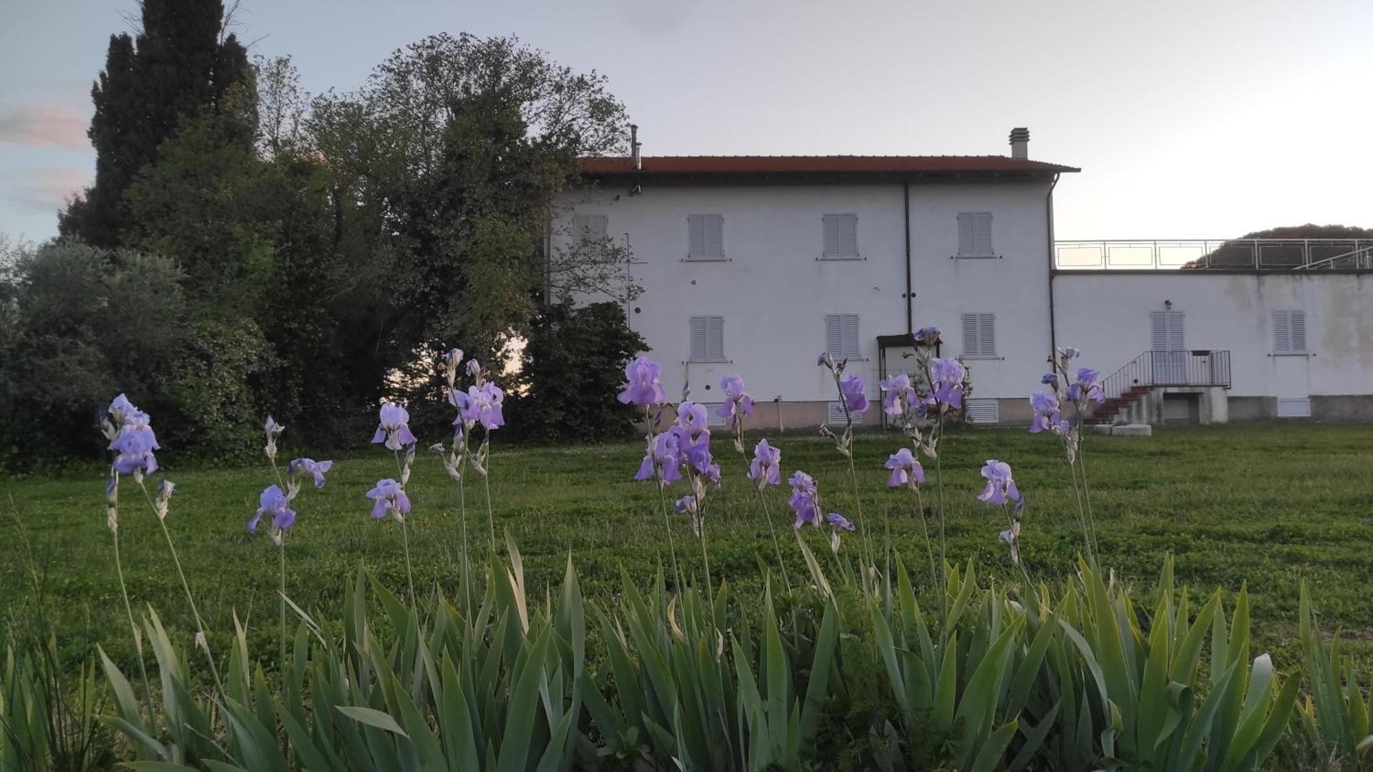 Pietraia Borgo Iris 빌라 외부 사진