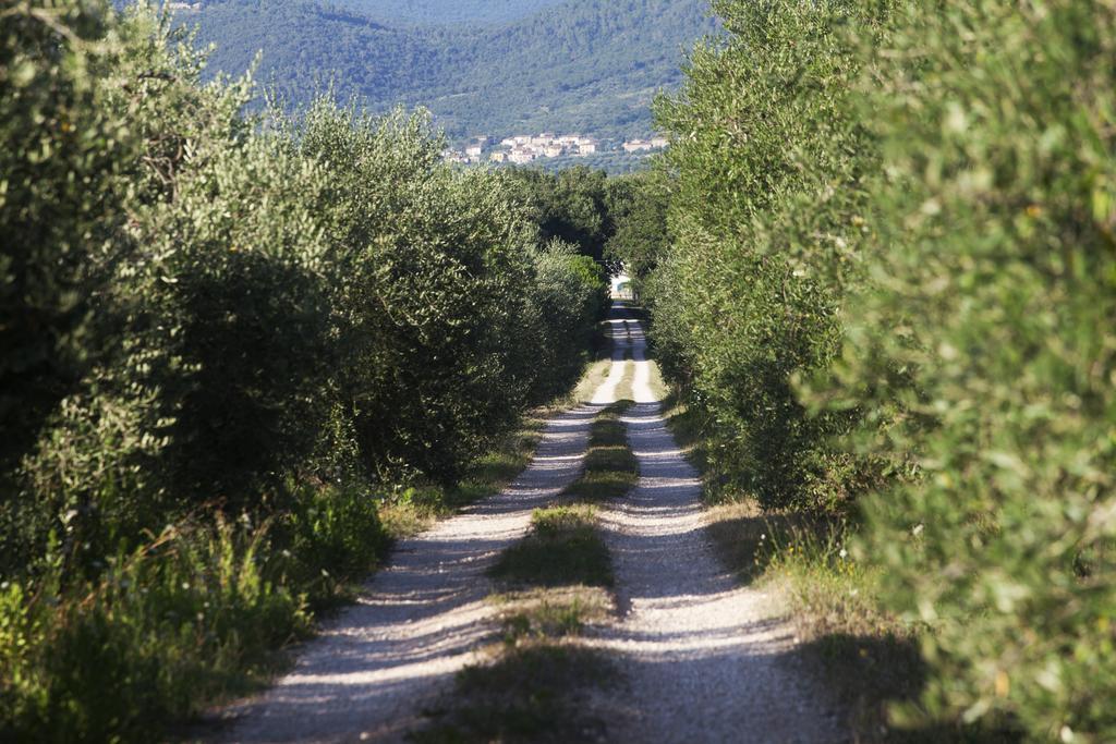 Pietraia Borgo Iris 빌라 외부 사진