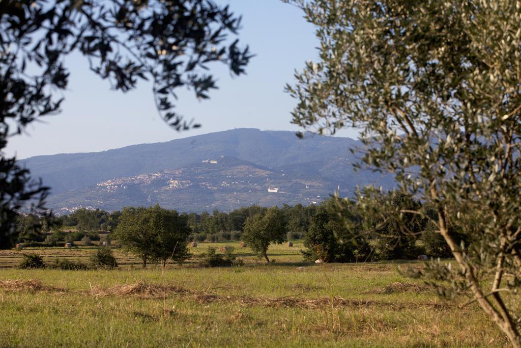 Pietraia Borgo Iris 빌라 외부 사진