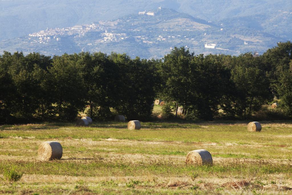 Pietraia Borgo Iris 빌라 외부 사진